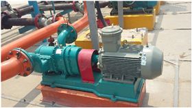 東岳羅德甲醇卸車泵