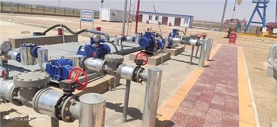 轉(zhuǎn)子泵 轉(zhuǎn)子泵