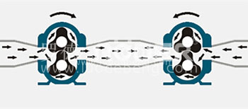 羅德凸輪轉子泵可以正反轉裝車卸車一臺泵就可以完成