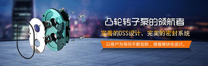 凸輪轉(zhuǎn)子泵解決渣漿泵存在的問題