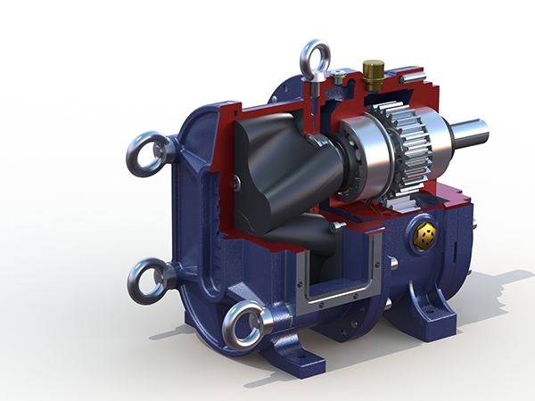 膜處理行業(yè)非要用進(jìn)口的轉(zhuǎn)子泵？