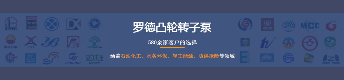 羅德凸輪轉(zhuǎn)子泵--德國(guó)品質(zhì)，中國(guó)價(jià)格