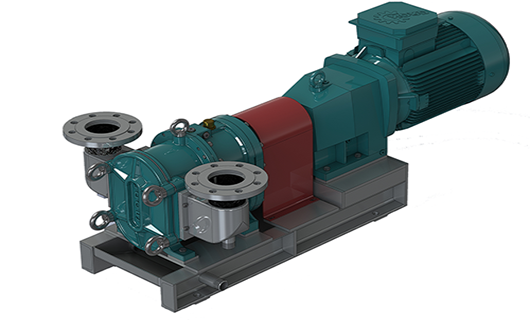 污泥轉(zhuǎn)子泵 污泥轉(zhuǎn)子泵